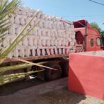 IMPULSA YESICA SIFUENTES AL CAMPO CON ENTREGA DE POLLINAZA