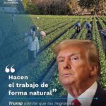 TRUMP RECONOCE DIFICULTAD PARA REEMPLAZAR A TRABAJADORES MIGRANTES EXPULSADOS