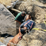 SALVAN BOMBEROS A CABALLO DE UNA FOSA