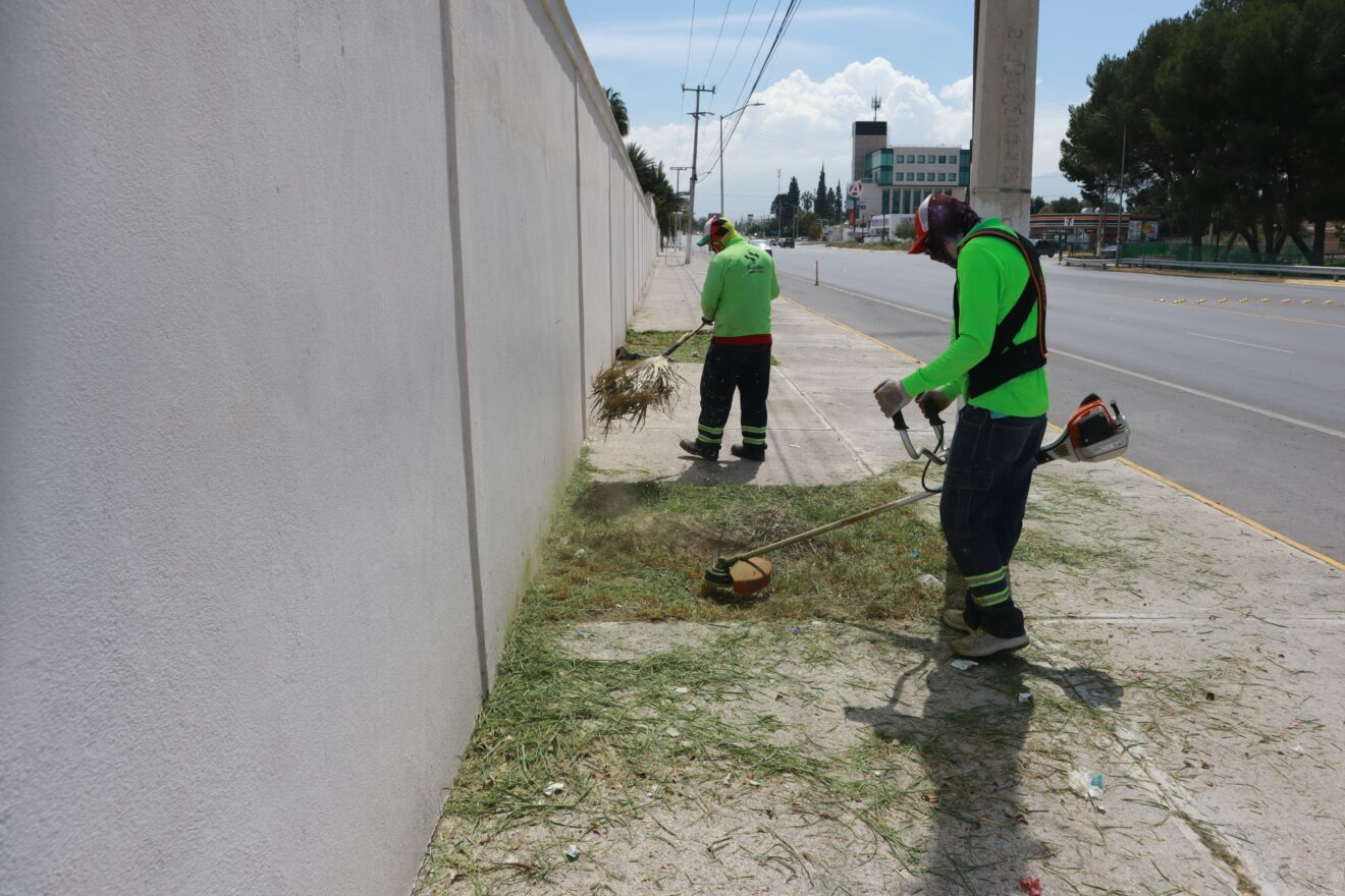 REFUERZA MUNICIPIO TRABAJOS EN ÁREAS VERDES Y VIALIDADES DE SALTILLO