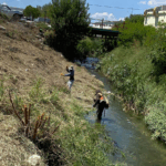 SERVICIOS PRIMARIOS INTENSIFICA LIMPIEZA EN ARROYO FRONTERA