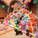 EXPOSICIONES, POESÍA, CINE DE TERROR Y MÁS EN EL FESTIVAL ÁNIMAS DEL DESIERTO 2025