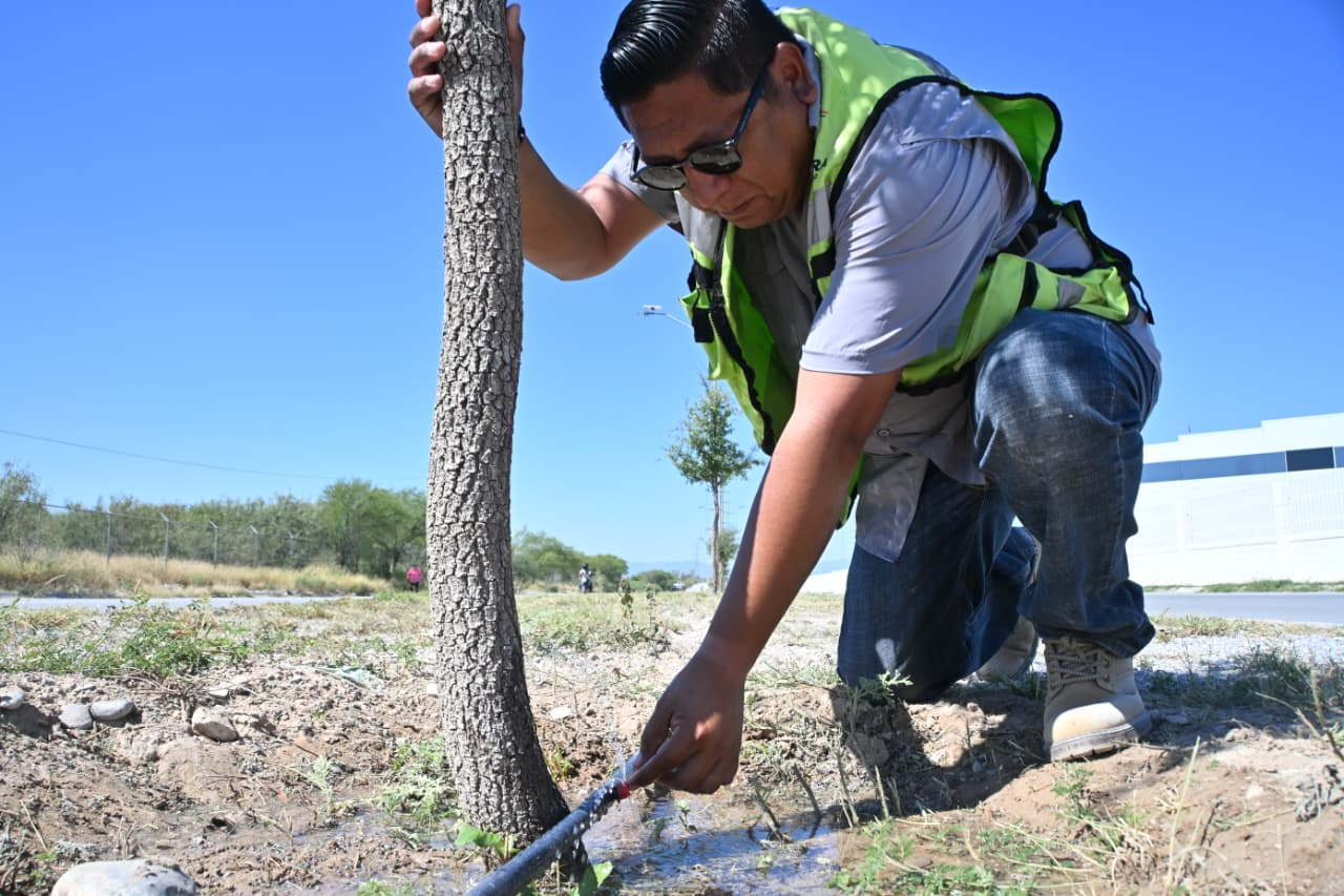 SARI PÉREZ REFUERZA LA IMAGEN URBANA EN ACCESOS INDUSTRIALES DE FRONTERA
