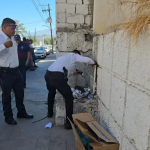 OLÍA A DESCOMPUESTO; ERA UN GATO ATRAPADO