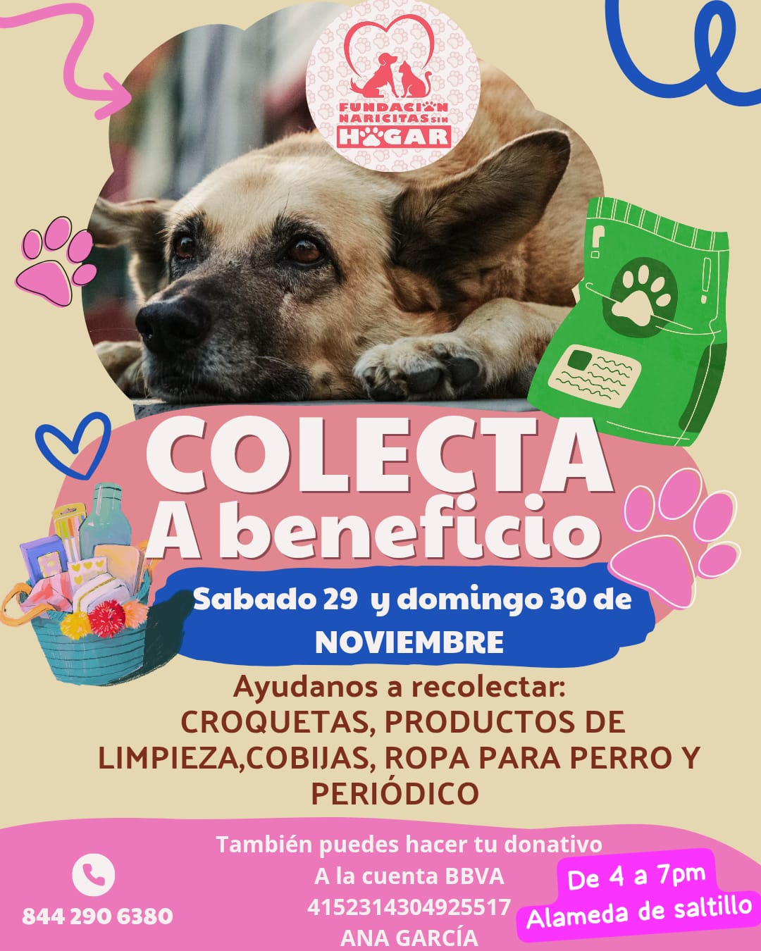 HARÁN EN SALTILLO COLECTA A BENEFICIO DE PERROS Y GATOS RESCATADOS DE LAS CALLES