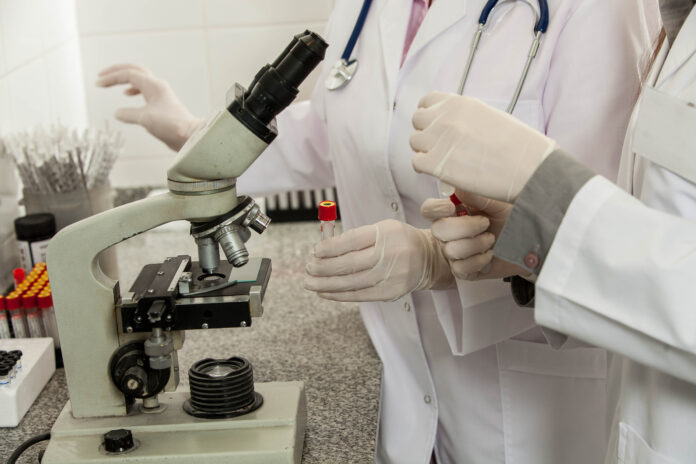 CIENTÍFICOS DE ESPAÑA LOGRAN ELIMINAR AL 100 % EL CÁNCER DE PÁNCREAS EN RATONES