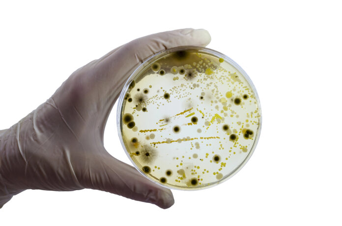 DESCUBREN EN UNA CUEVA UNA BACTERIA CONGELADA RESISTENTE A 10 ANTIBIÓTICOS MODERNOS