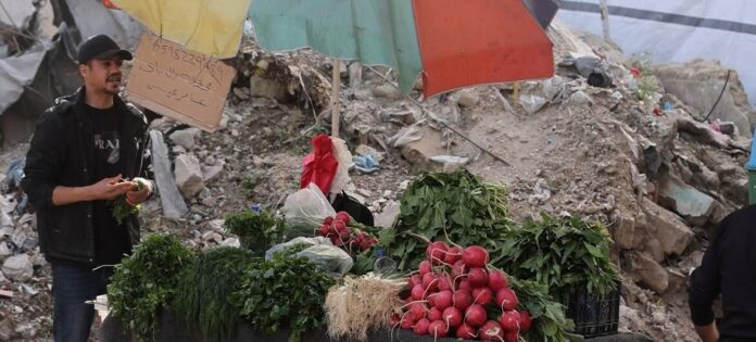 UNA TREGUA SIN PAZ: GAZA Y CISJORDANIA A PRUEBA CON UNA NUEVA INICIATIVA DIPLOMÁTICA