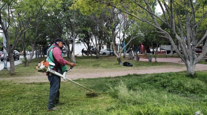 MANTIENE EMBELLECIMIENTO URBANO TRABAJOS PERMANENTES DE LIMPIEZA; SIGUE ABIERTA CONVOCATORIA DE EMPLEO TEMPORAL