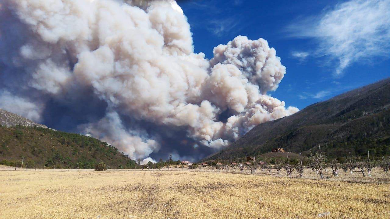  MULTAS DE HASTA 2 MDP Y OCHO AÑOS DE CÁRCEL POR PROVOCAR INCENDIOS FORESTALES EN COAHUILA