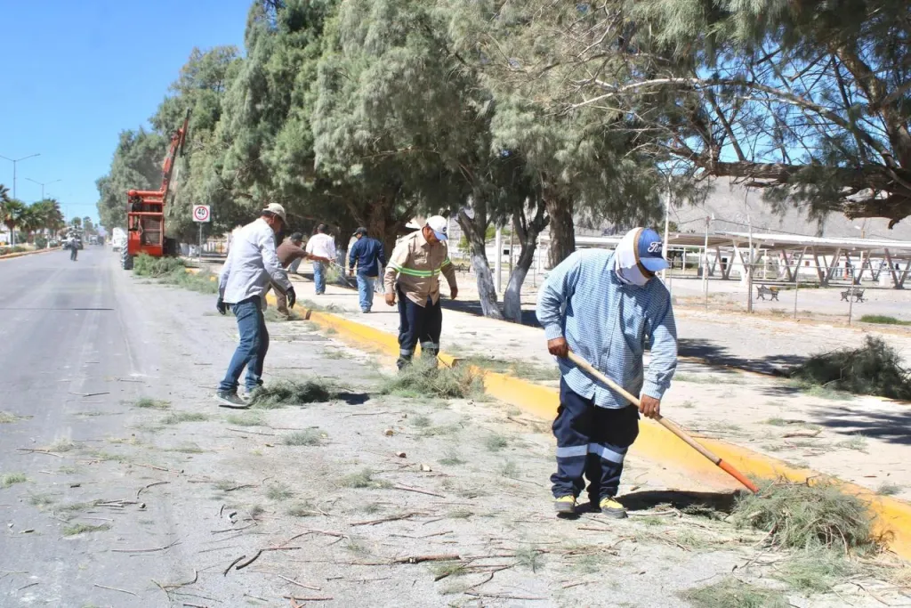 AVANZA CUATRO CIÉNEGAS EN MANTENIMIENTO URBANO Y SEGURIDAD PEATONAL