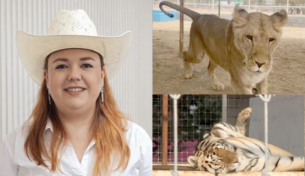 INVESTIGARÁ ALCALDESA DE ARTEAGA OPERACIÓN DEL ZOOLÓGICO “EL RANCHITO SAFARI”
