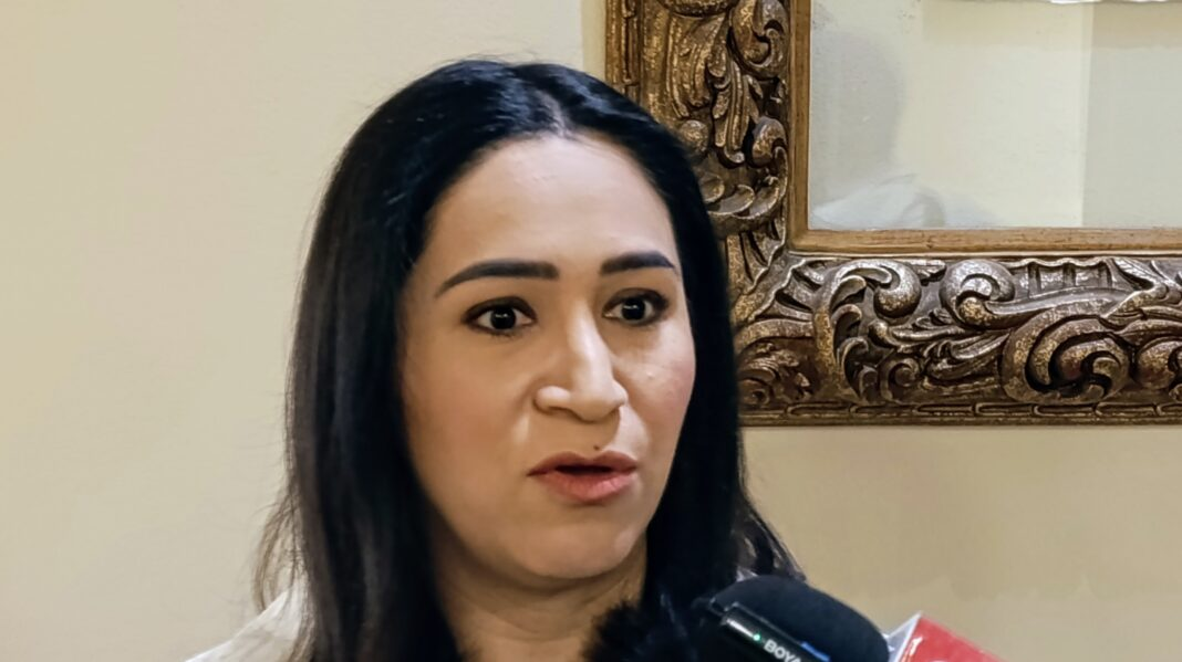 20 EMPRESAS ALEMANAS ANALIZAN INVERTIR EN COAHUILA TRAS ENCUENTRO CON IP ESTATAL