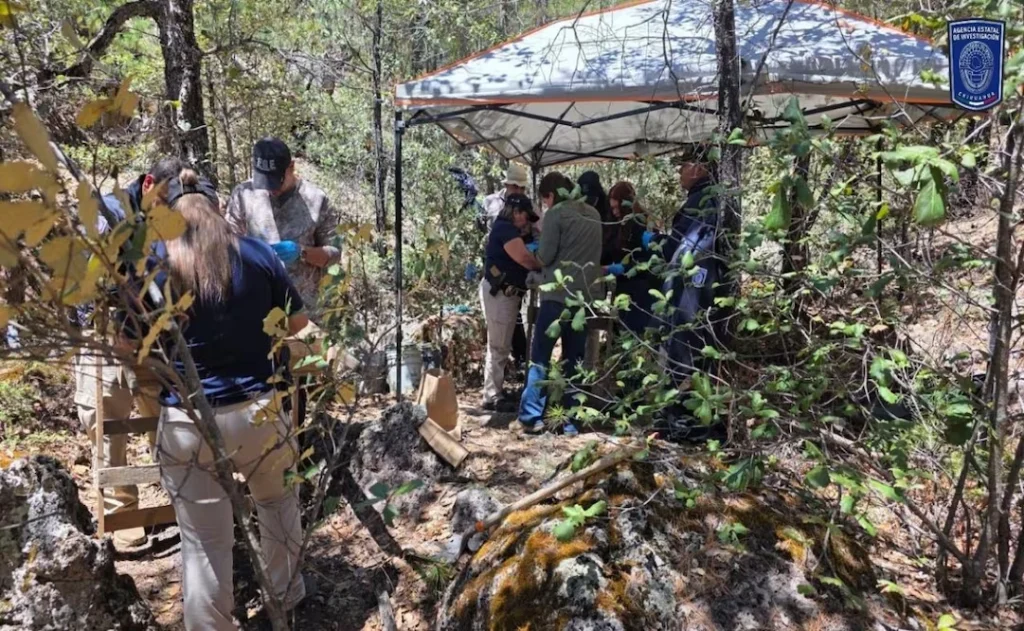 HALLAN REST0S ÓSE0S CALCINADOS EN BOCOYNA, CHIHUAHUA; INVESTIGAN POSIBLE FOSA CLANDESTINA