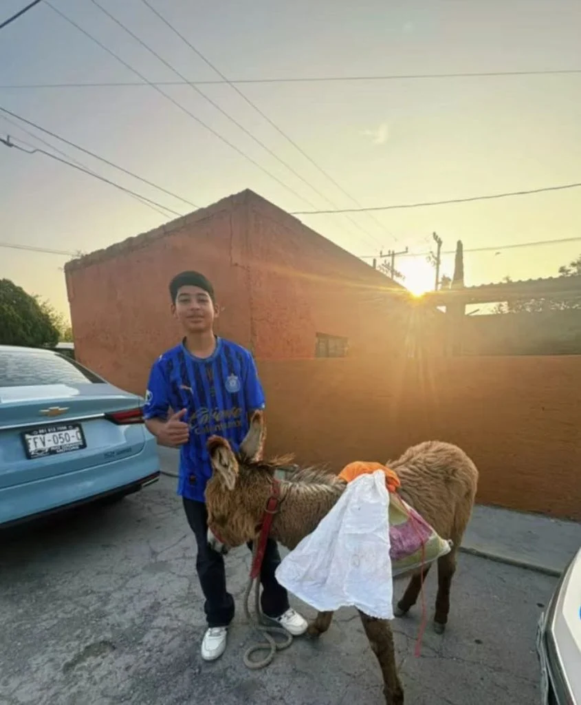 “BROWNIE”, EL INVITADO MÁS INESPERADO EN LA SECUNDARIA