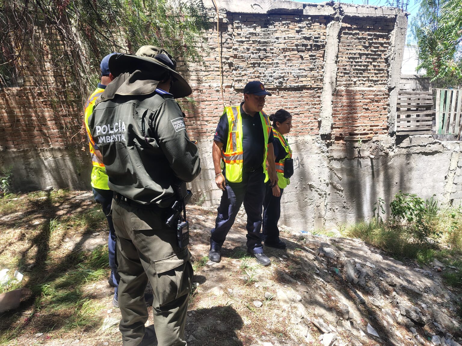UBICAN A OSO JUVENIL EN ARROYO DE SALTILLO; BUSCAN RESGUARDARLO