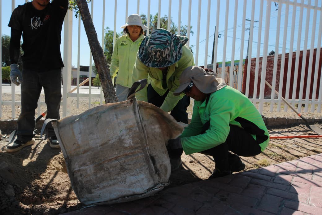 IMPULSA JAVIER DÍAZ REFORESTACIÓN Y MEJORAMIENTO DE ESPACIOS PÚBLICOS EN SALTILLO