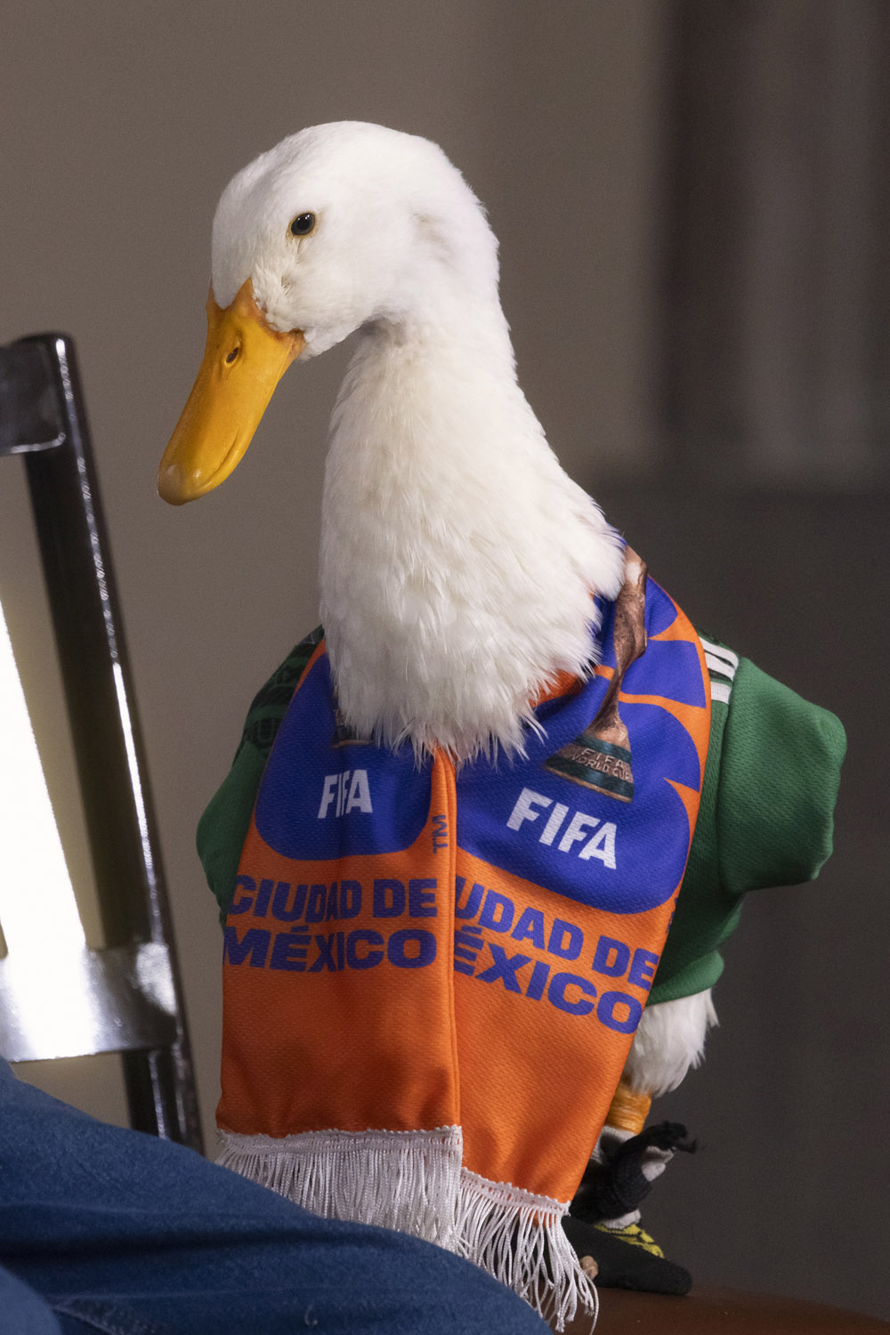 SURGE DISPUTA POR LA MARCA DEL PATO MERLÍN, PRESENTAN OTRAS SOLICITUDES ANTE EL IMPI