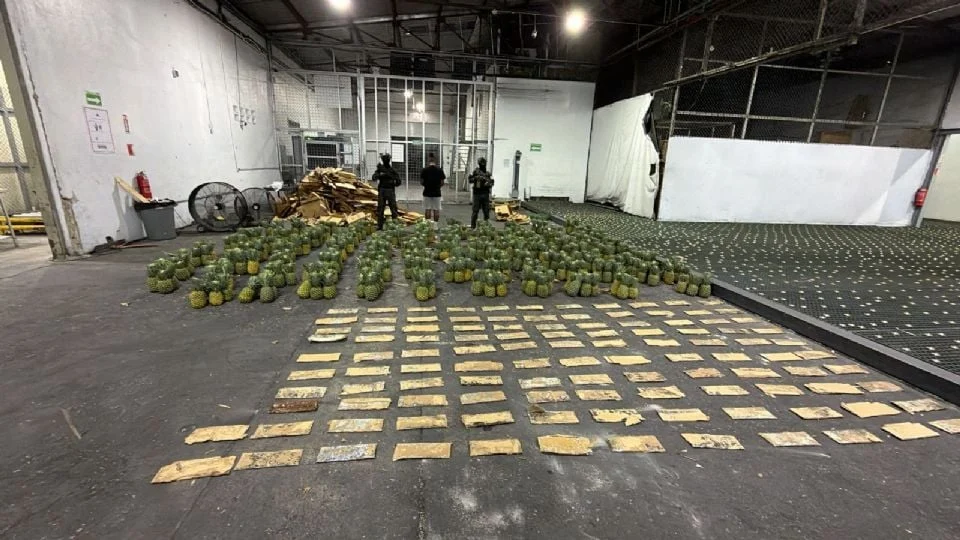 OCULTAN 30 KILOS DE DR0GAS EN UN CARGAMENTO DE PIÑAS QUE SE DIRIGÍA A AFGANISTÁN; LAS DECOMISAN EN REPÚBLICA DOMINICANA
