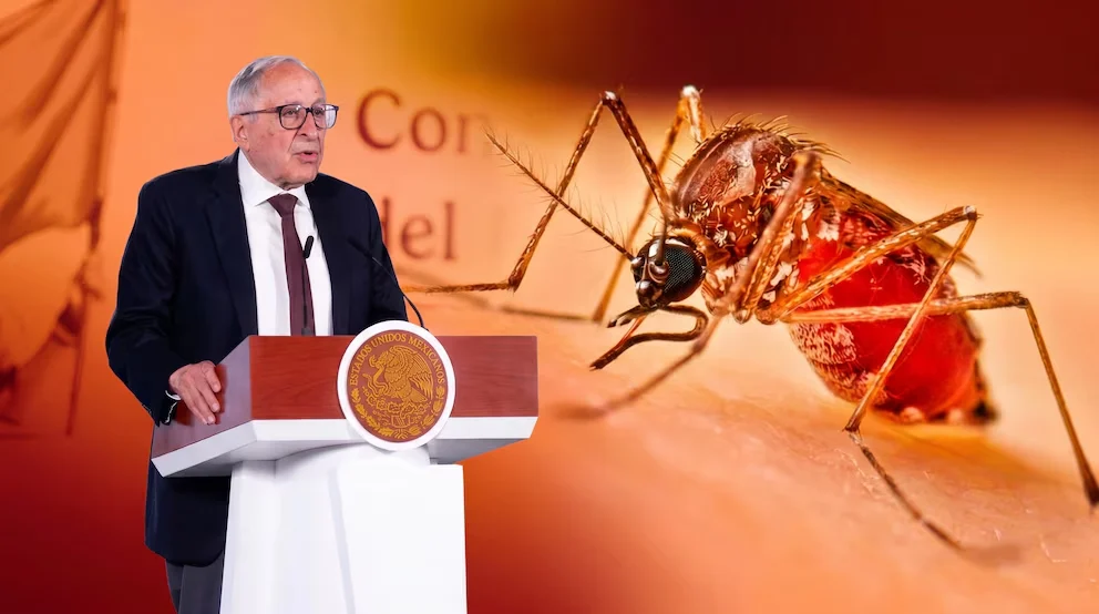 DENGUE EN MÉXICO: AVANZA APROBACIÓN DE DOS VACUNAS Y DESARROLLO DE MOSQUITOS CONTRA VIRUS PARA REDUCIR 50% LOS CASOS