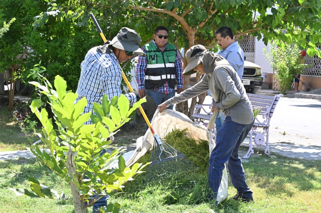 REFUERZA SARI PÉREZ MANTENIMIENTO Y LIMPIEZA DE CALLES Y ÁREAS VERDES