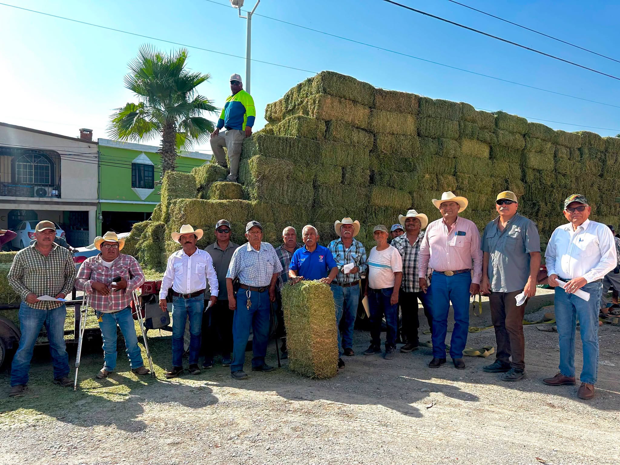 FORTALECE YESICA SIFUENTES APOYO AL CAMPO CON ENTREGA DE 688 PACAS DE ALFALFA