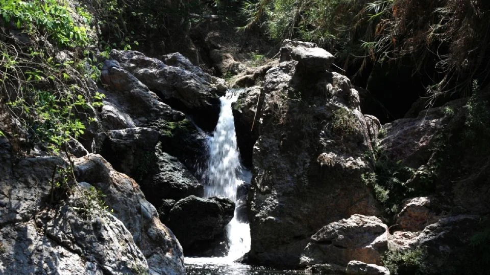 TRAGEDIA EN PUEBLA: LOCALIZAN DOS CUERPOS MÁS DE LA FAMILIA ATRAPADA EN LA GRUTA DE CHICHICAZAPAN