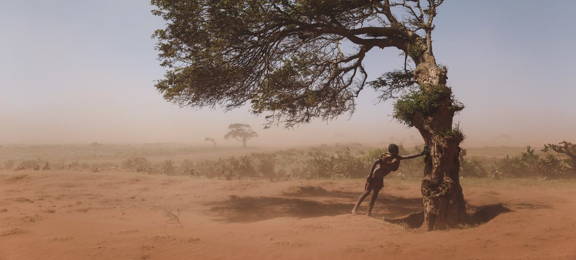 LAS TORMENTAS DE ARENA Y POLVO SIGUEN AMENAZANDO LA SALUD Y EL MEDIO AMBIENTE