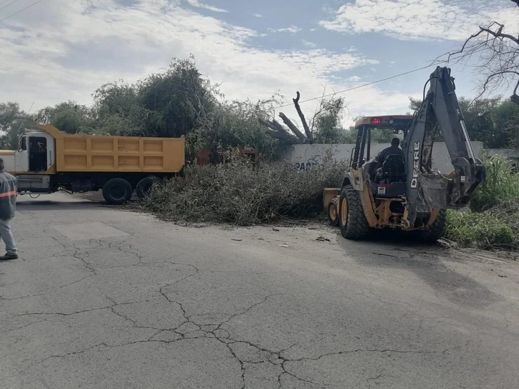 INTENSIFICA SARI LABORES DE LIMPIEZA Y REFORESTACIÓN TRAS RECIENTES TORMENTAS