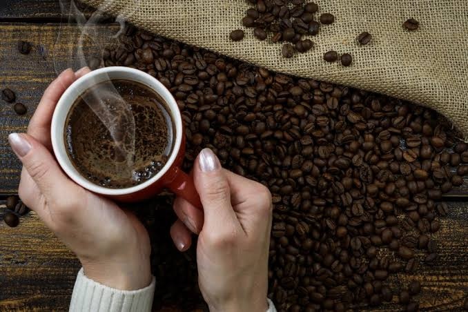 FESTIVAL DE CAFÉ DE ESPECIALIDAD EN TIJUANA: QUÉ ESPERAR DEL MUNDO SILVESTRE COFFEE CAMP 2026