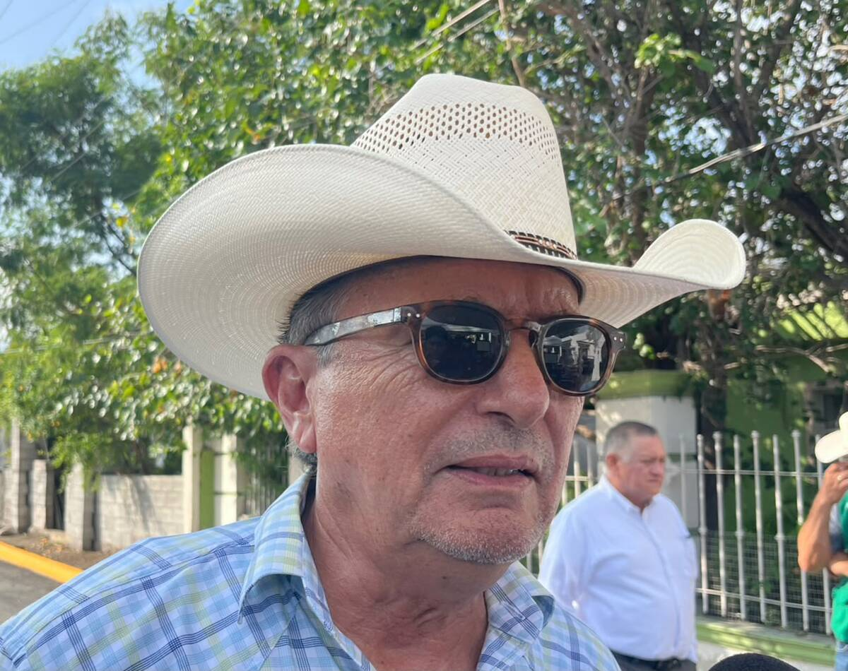 BENEFICIAN LLUVIAS AL CAMPO Y FORTALECEN PRODUCCIÓN GANADERA EN FRONTERA