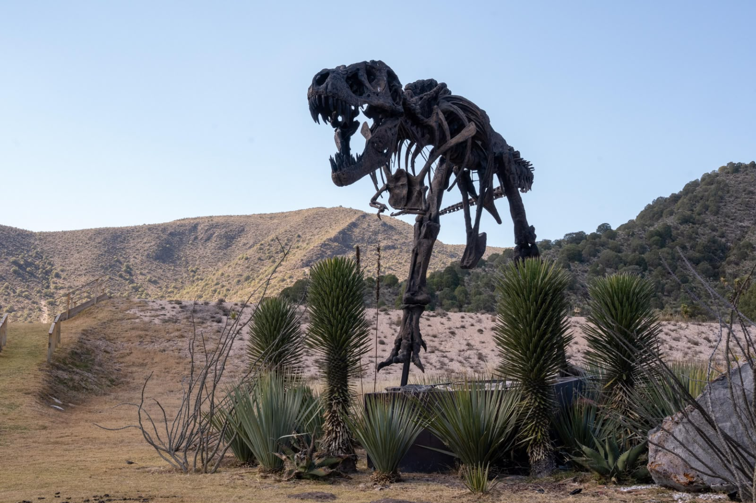 CON SUS 8 PUEBLOS MÁGICOS, COAHUILA SORPRENDE CON EXPERIENCIAS ÚNICAS