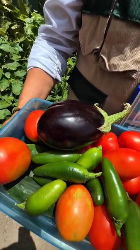 IMSS COAHUILA IMPULSA ALIMENTACIÓN SALUDABLE CON HUERTO DEMOSTRATIVO EN RAMOS ARIZPE