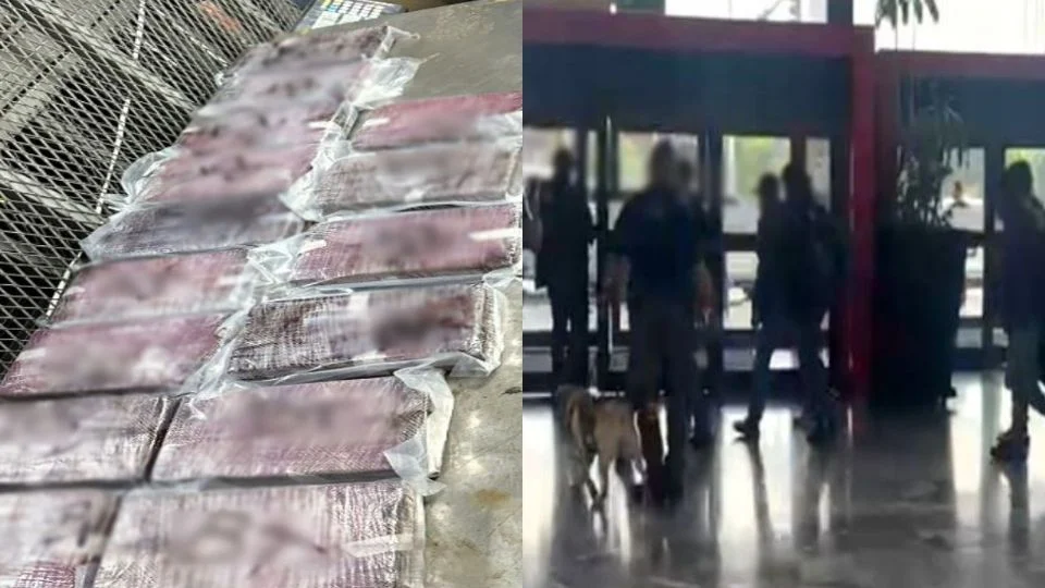 ASEGURAN 165 KILOS DE COC4ÍNA Y DETIENEN A 11 SUJETOS EN EL AEROPUERTO DE TIJUANA