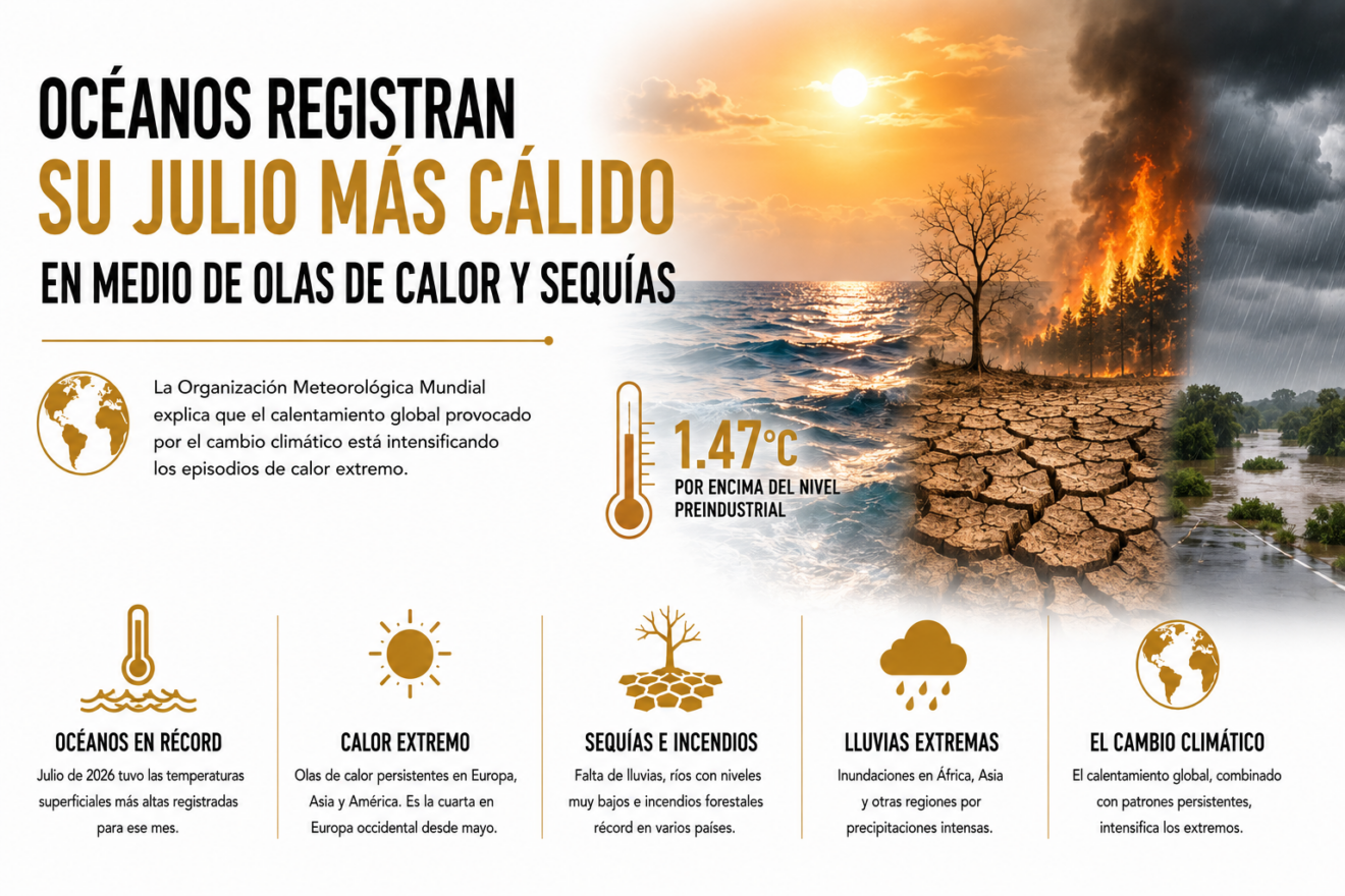 OCÉANOS REGISTRAN SU JULIO MÁS CÁLIDO EN MEDIO DE OLAS DE CALOR Y SEQUÍAS