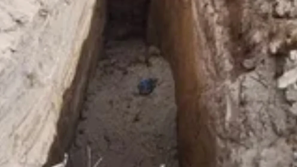 ASÍ LOCALIZARON LAS FOSAS DEL AYUNTAMIENTO DE ALTEPEXI DONDE TERMINABAN LOS PERROS RECOGIDOS DE LA CALLE
