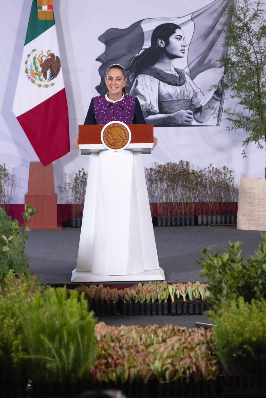PARTICIPARÁ SIERRA DE ARTEAGA EN JORNADA NACIONAL DE REFORESTACIÓN