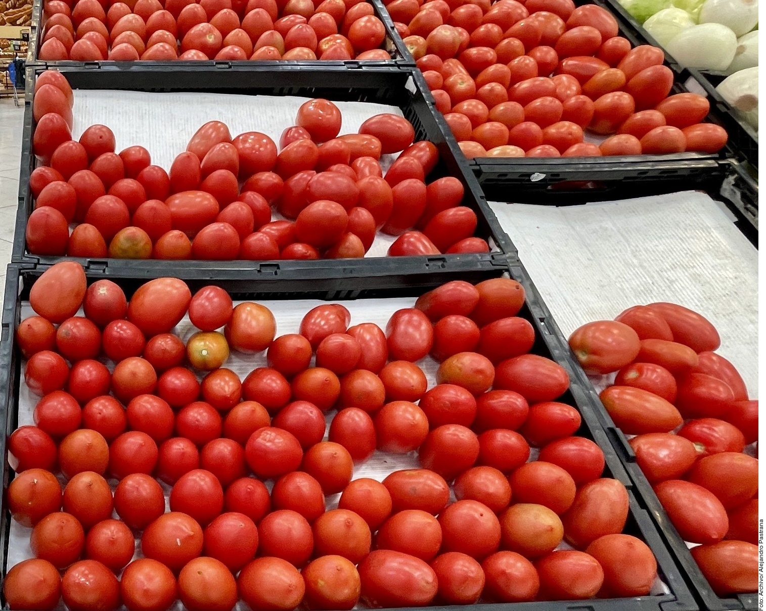 TEMEN QUE SUBA EU ARANCEL AL TOMATE MEXICANO