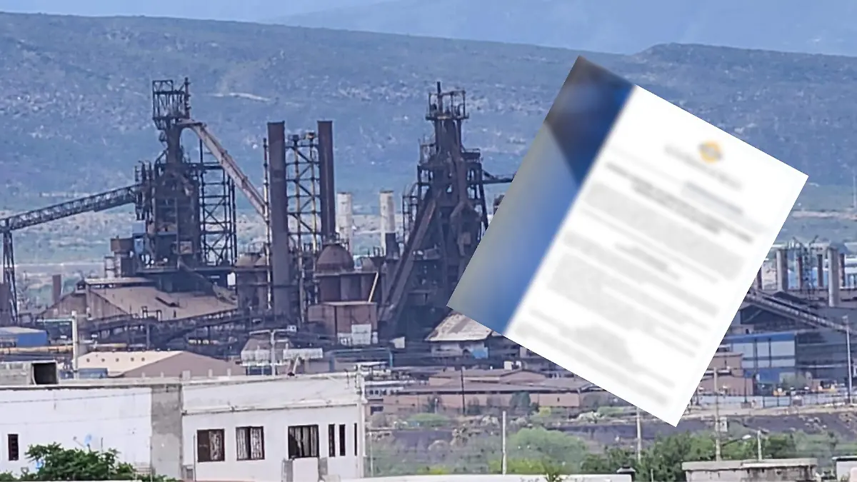 BUSCAN NUEVA PUJA POR AHMSA SI ESTE VIERNES NO SE CONCRETA LA VENTA