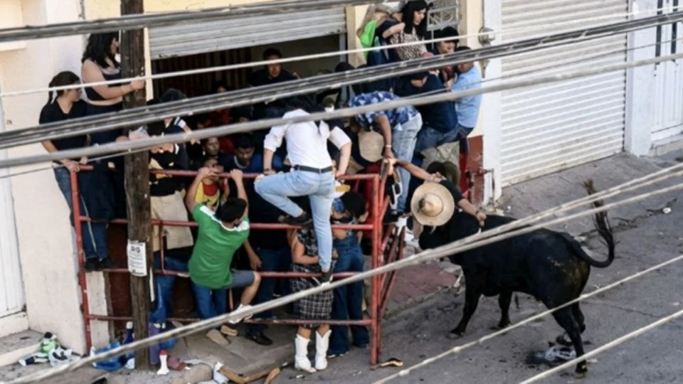MUER* UN HOMBRE DE 53 AÑOS TRAS SUFRIR GRAVE CORNADA DURANTE LOS FESTEJOS DE LA ‘TARIMORADA’ EN GUANAJUATO