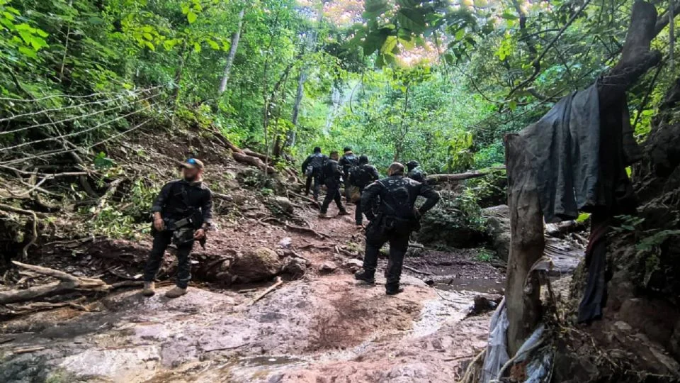 INCAUTAN CERCA DE 50 DRONES Y DESMANTELAN UN LABORATORIO CL4NDESTINO EN DOS OPERACIONES EN SINALOA