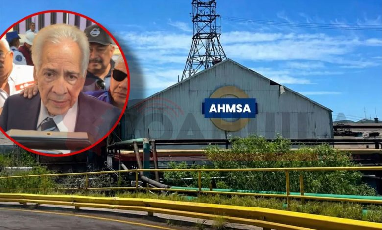 PONEN EN DUDA RESPALDO FINANCIERO DE OFERTA POR AHMSA