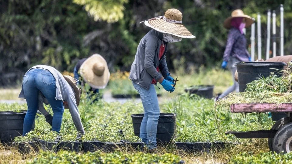 JUEZ FRENA LA MEDIDA DE TRUMP DE EXIGIR MULTAS A MIGRANTES PARA PRESIONARLOS A QUE ABANDONEN EU
